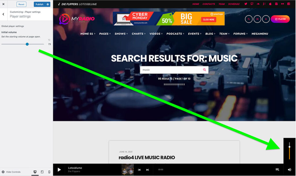 radio player for wordpress set default menu option