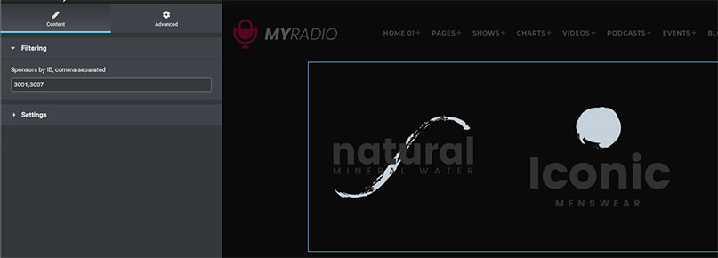 filter sponsors carousel elementor widget radio
