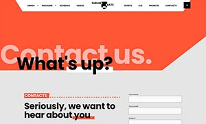 Demo 16 – Sublime Radio – Music Radio website template [Radio WordPress Theme demo] Contacts