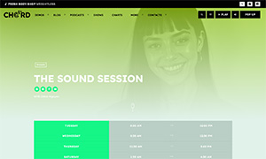 Demo 38 – Chord Radio Website Template [Radio WordPress Theme demo] Radio show