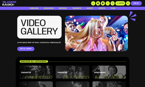 Demo 39 – TalkSpot Radio Website Template [Radio WordPress Theme demo] Videos